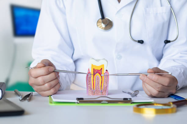 Best Emergency Treatment for Dental Infections or Abscesses in Angwin, CA